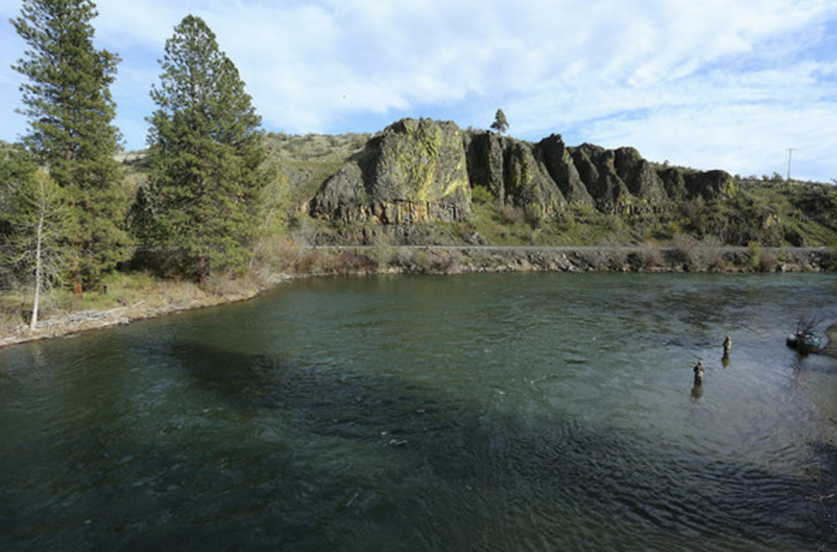 Yakima River Wade | Rainbow & Cutthroat